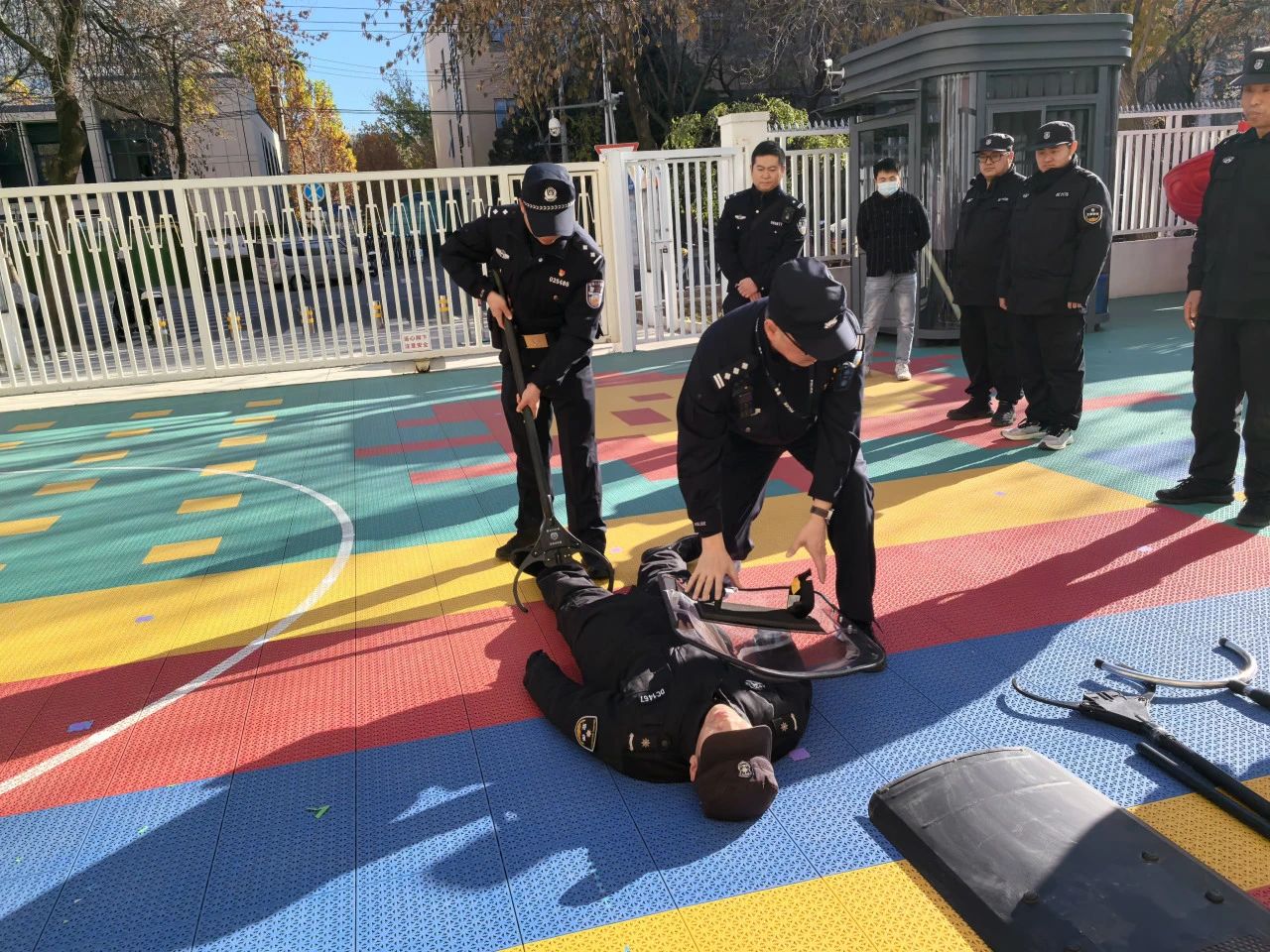 17.jpg