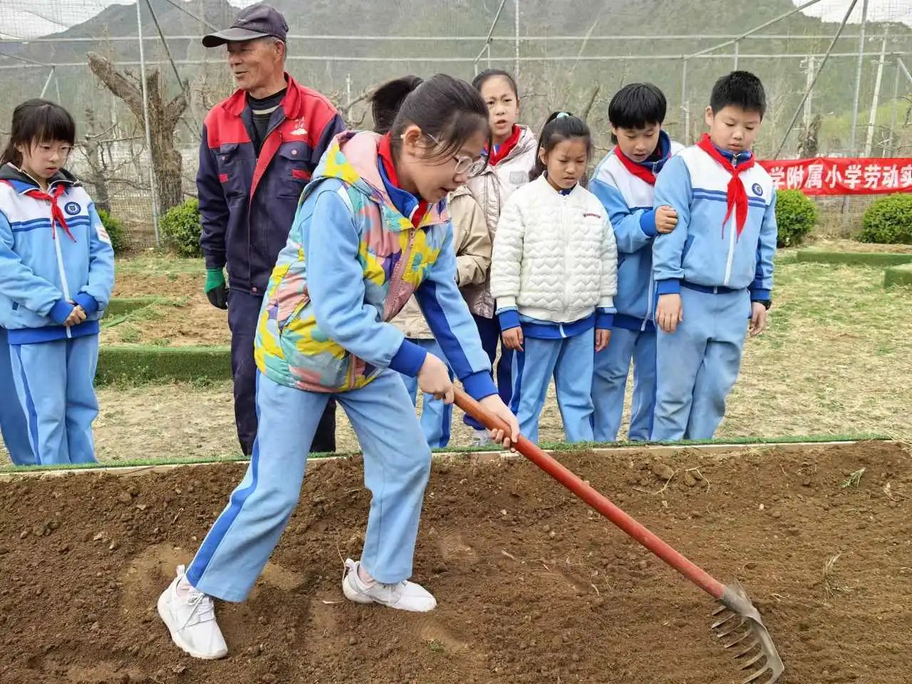 微信图片_20250409141858.jpg