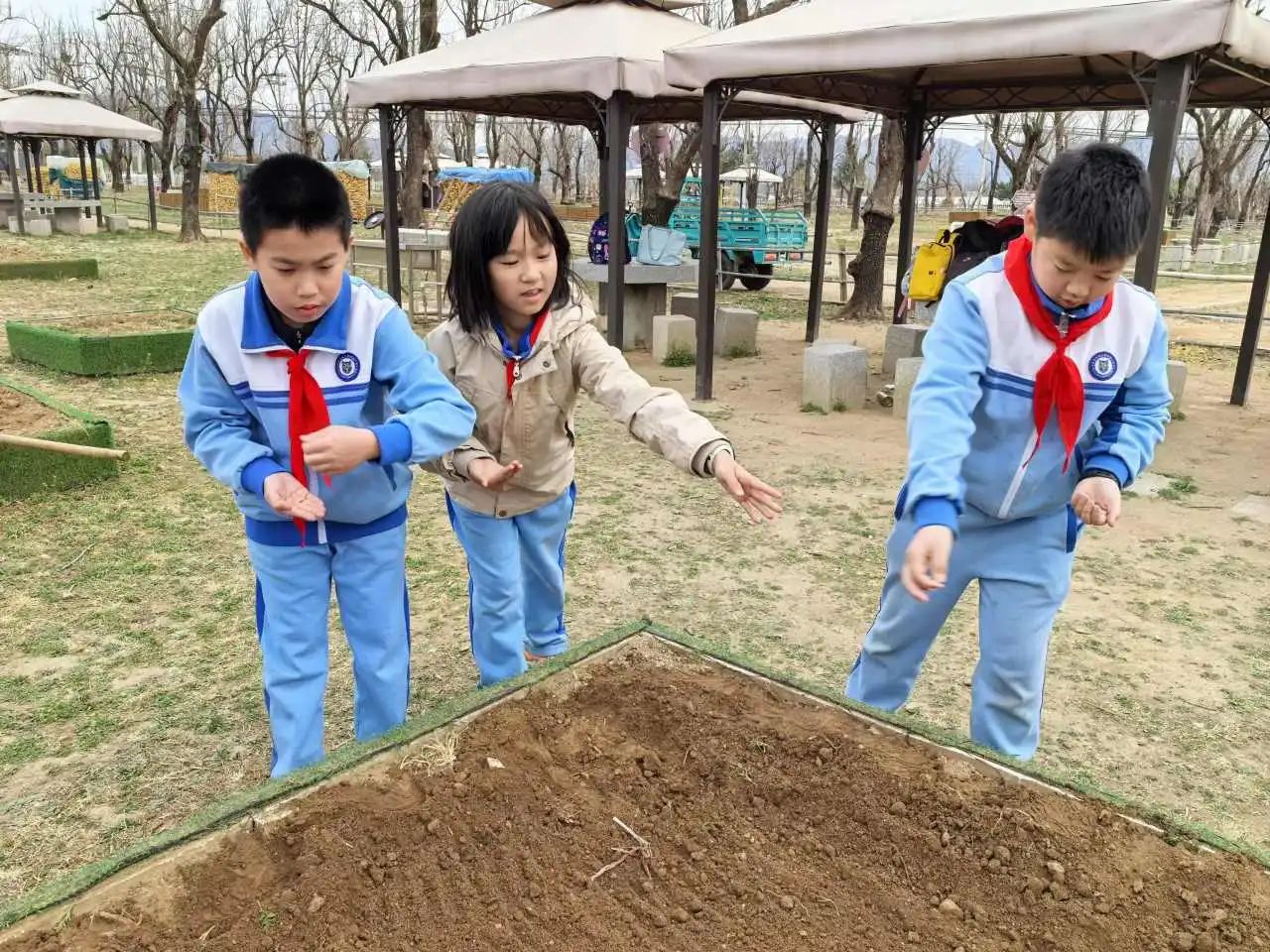 微信图片_20250409141844.jpg