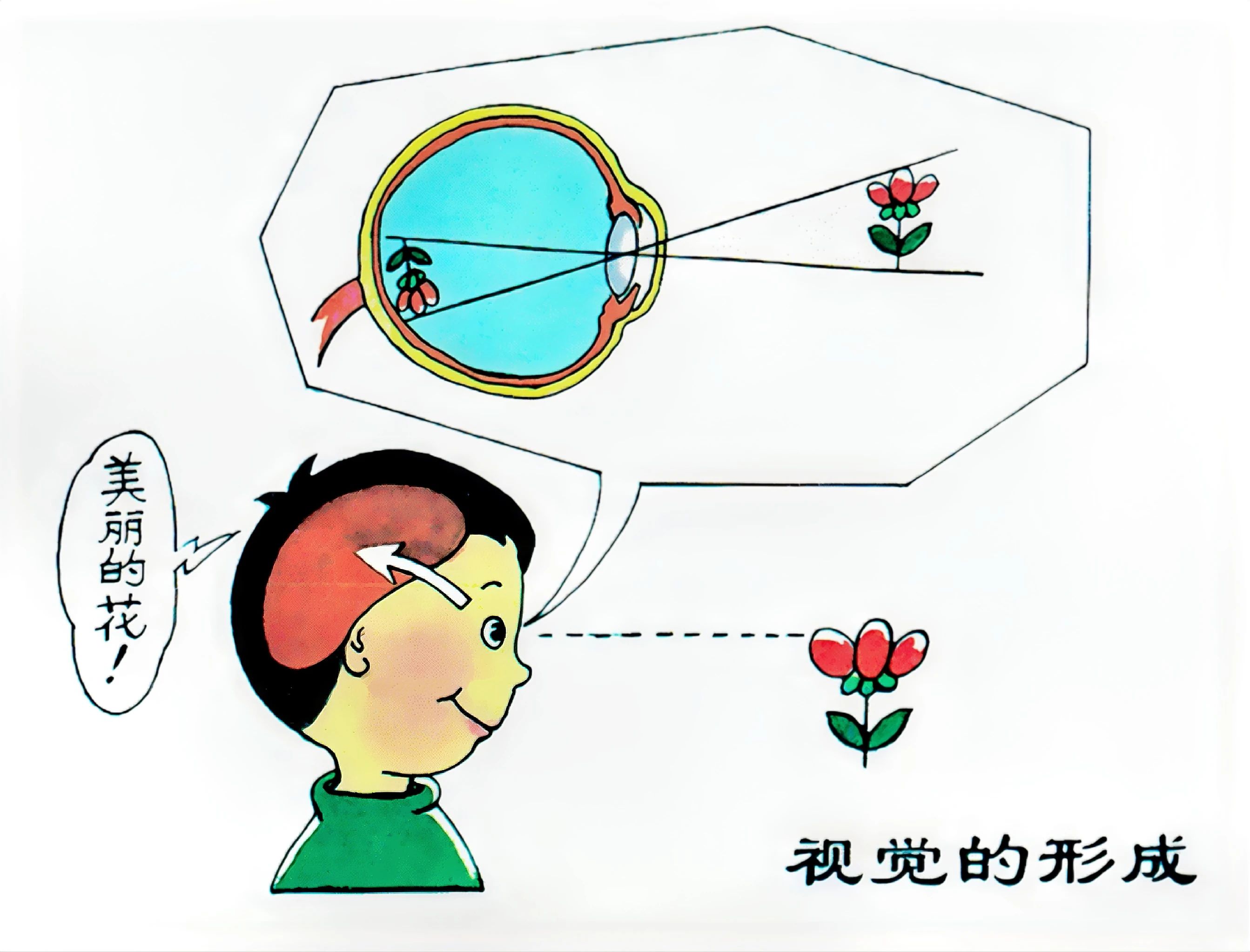 微信图片_20250617173824.jpg