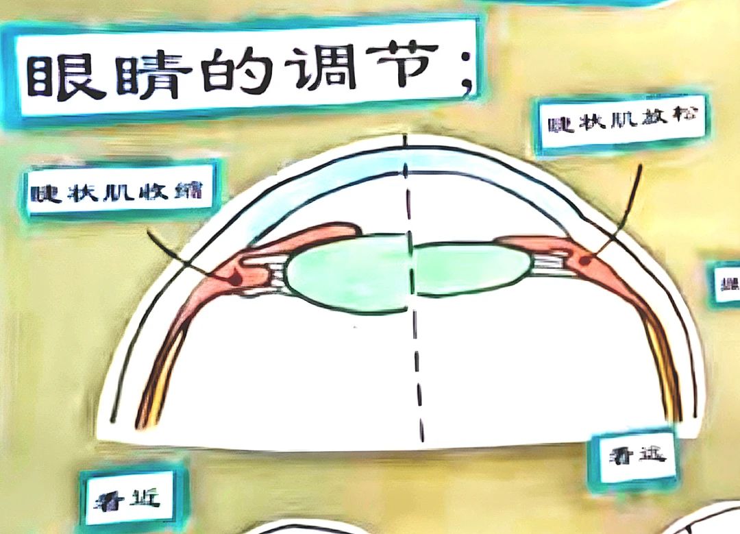 微信图片_20250617174513.jpg